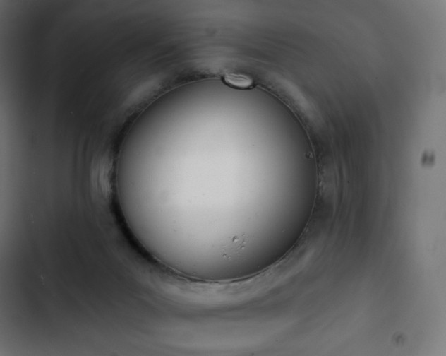 X0000103260023200809051454