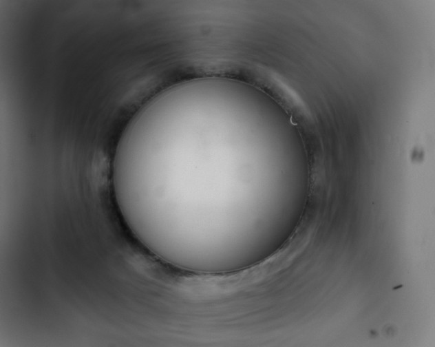 X0000103260025200809051454