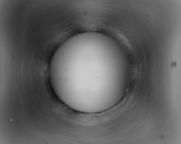 X0000103260029200809051454