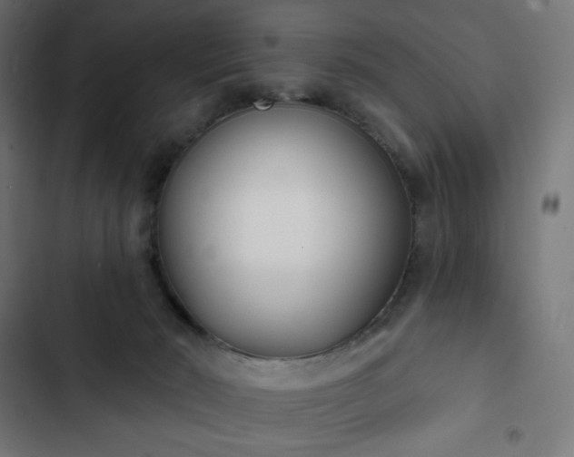 X0000103260030200809051454