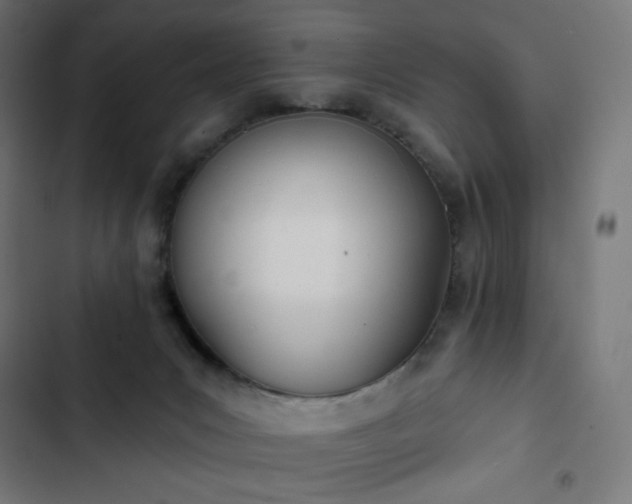 X0000103260031200809051454