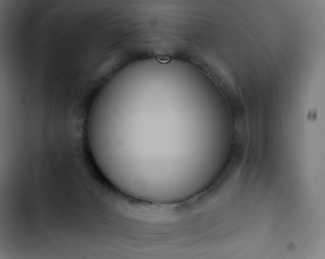 X0000103260032200809051454