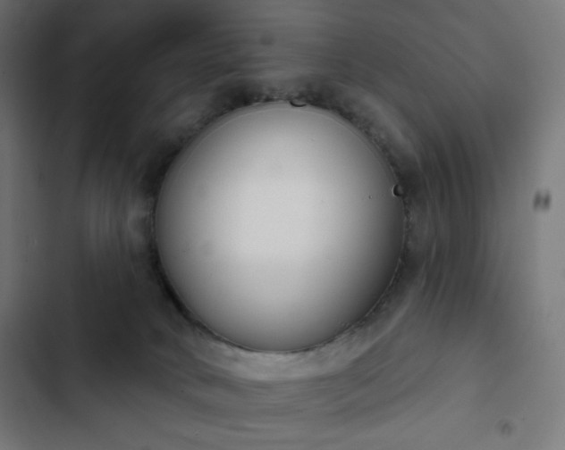 X0000103260034200809051454