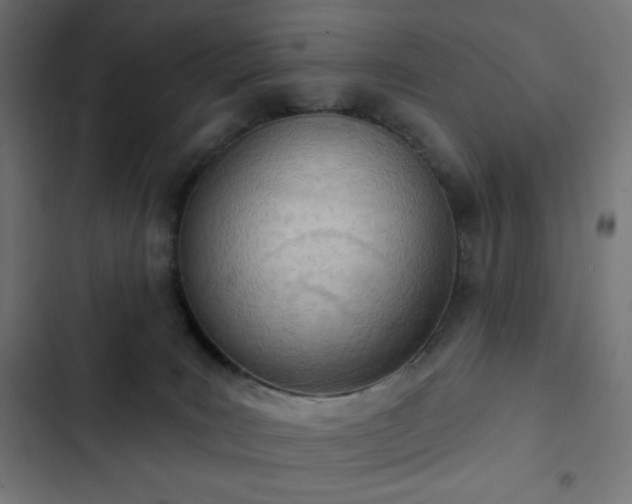 X0000103260035200809051454