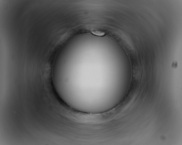 X0000103260036200809051454