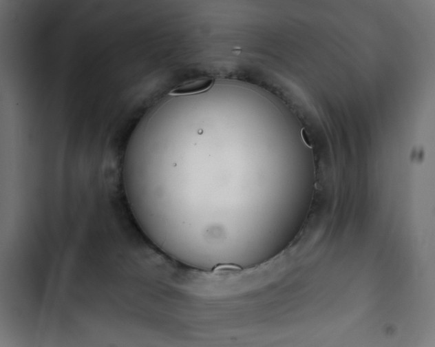 X0000103260037200809051454