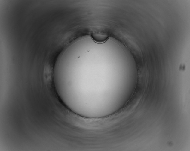 X0000103260038200809051454