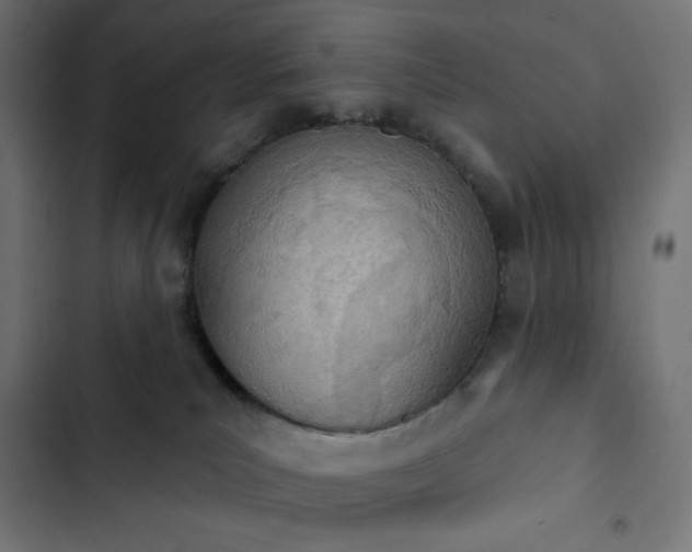 X0000103260039200809051454