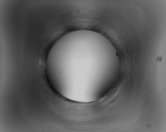 X0000103260040200809051454