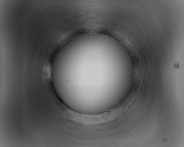 X0000103260042200809051454