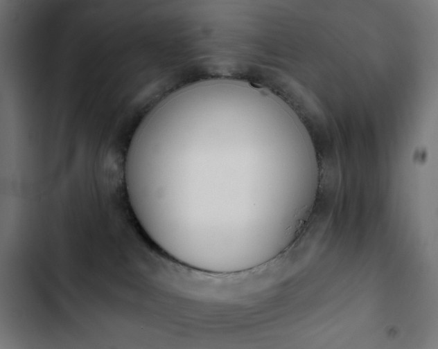 X0000103260043200809051454