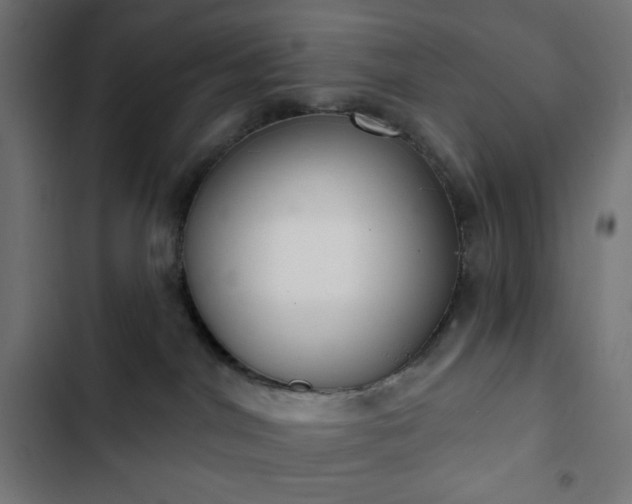 X0000103260044200809051454