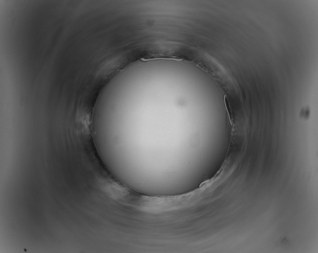 X0000103260045200809051454