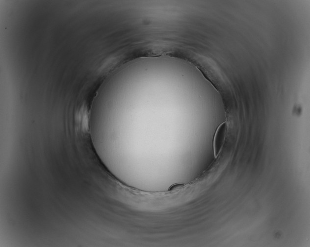 X0000103260046200809051454