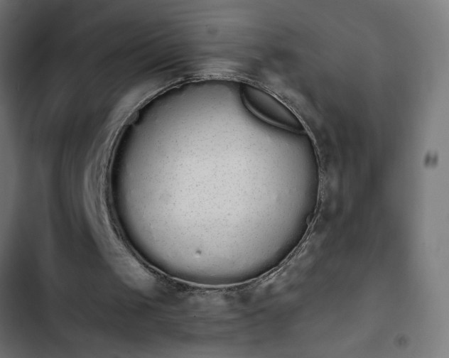 X0000103260049200809051453