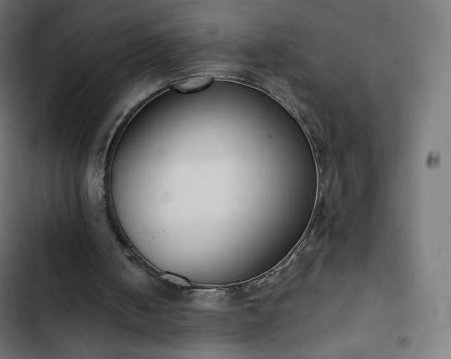 X0000103260050200809051453