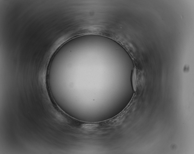 X0000103260051200809051453