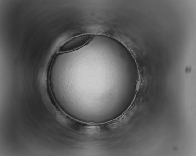 X0000103260053200809051453