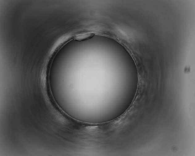 X0000103260054200809051453