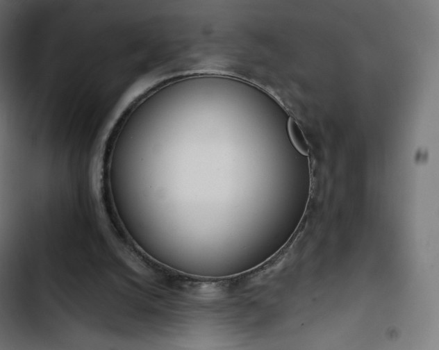 X0000103260056200809051453