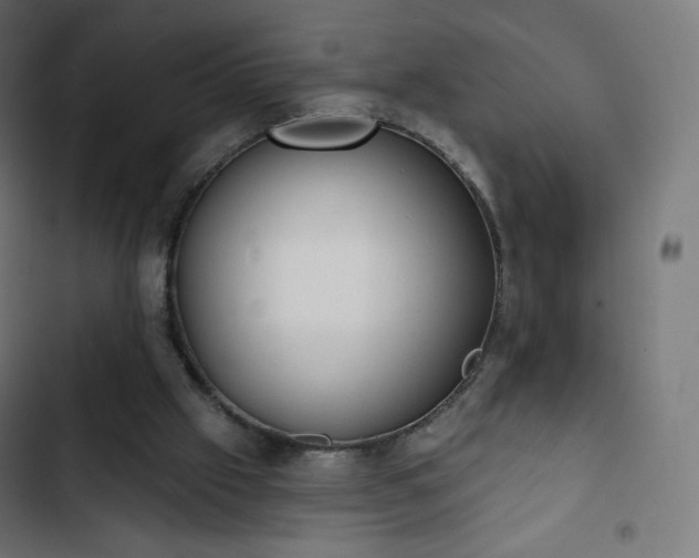 X0000103260057200809051453