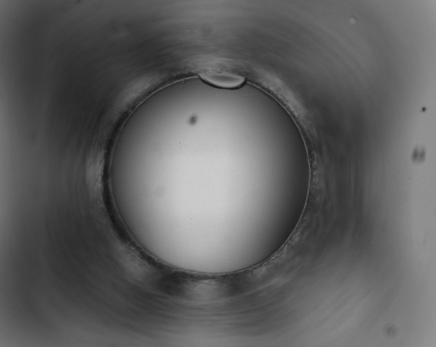 X0000103260058200809051453