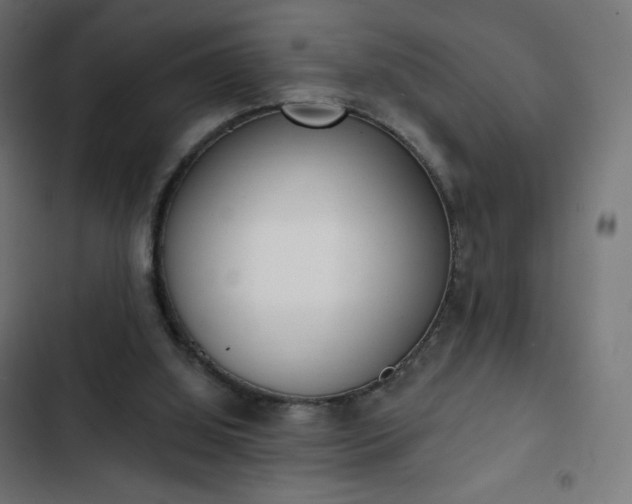 X0000103260060200809051453