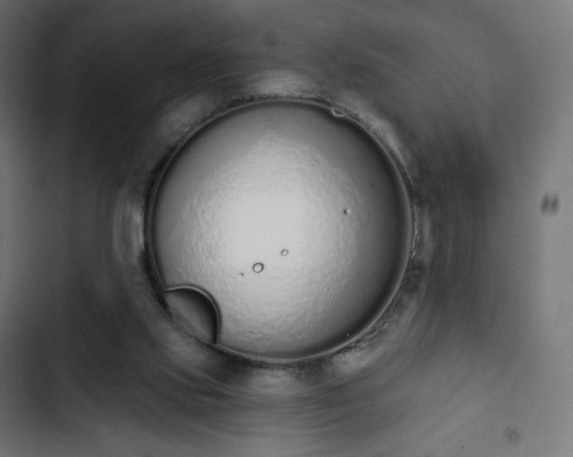 X0000103260061200809051453