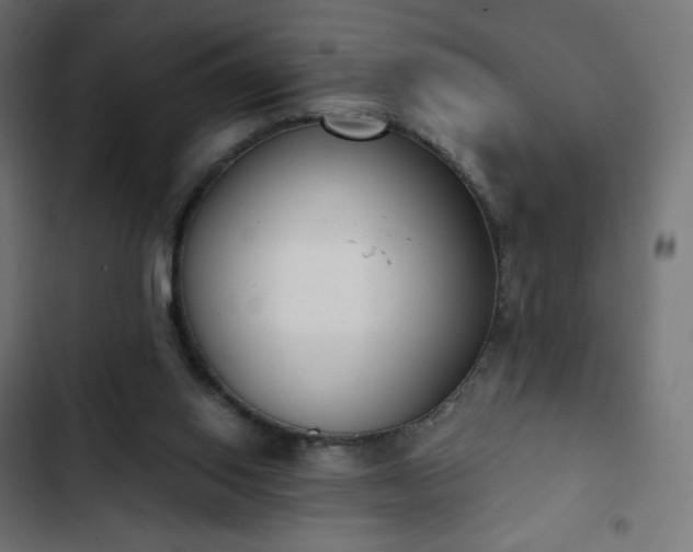 X0000103260062200809051453