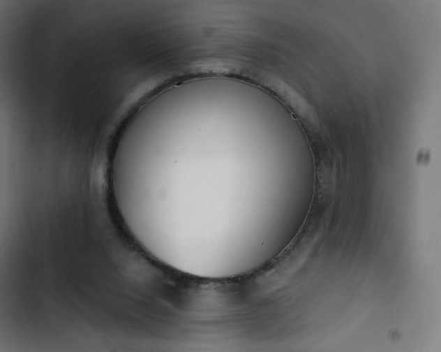 X0000103260064200809051453