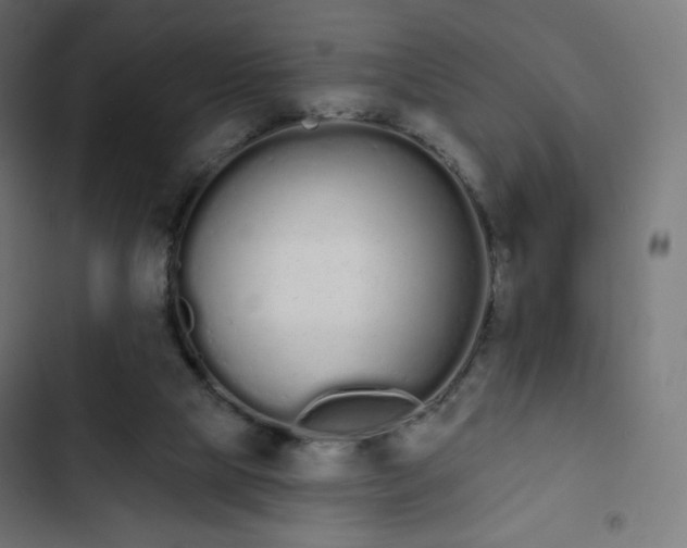 X0000103260065200809051453