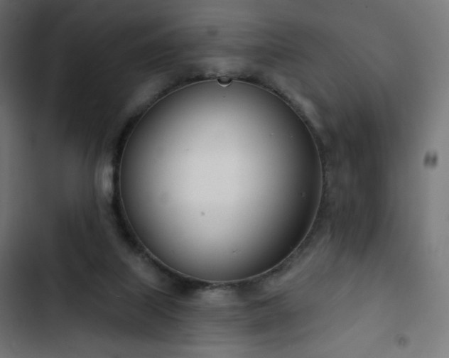 X0000103260067200809051453