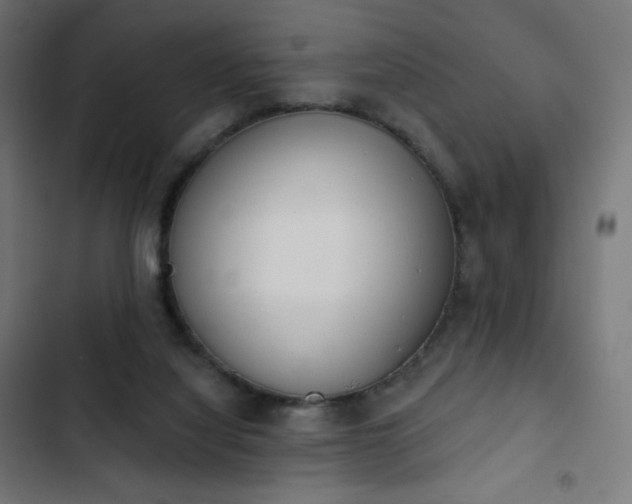 X0000103260068200809051453