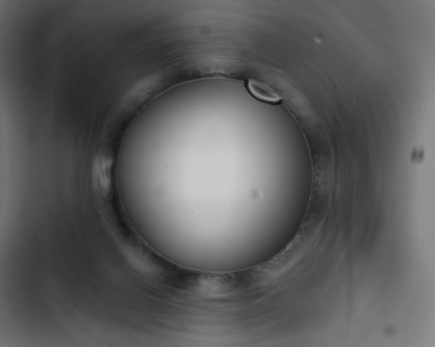 X0000103260070200809051453