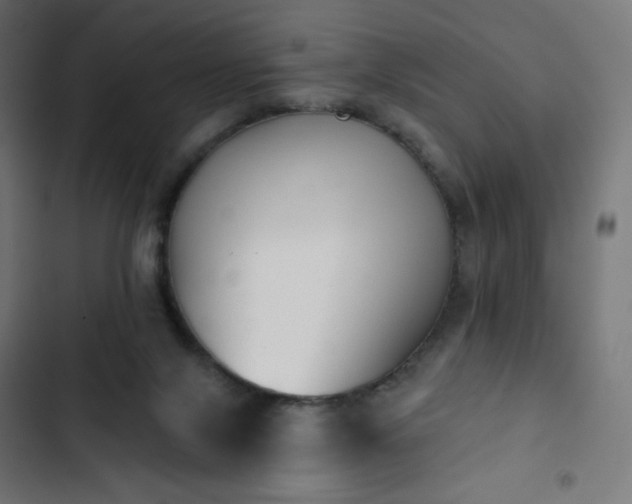 X0000103260071200809051453