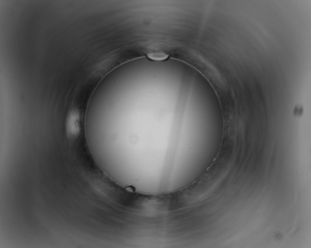 X0000103260075200809051453