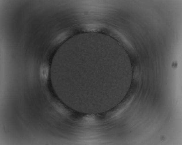 X0000103260076200809051453