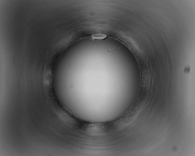 X0000103260077200809051453