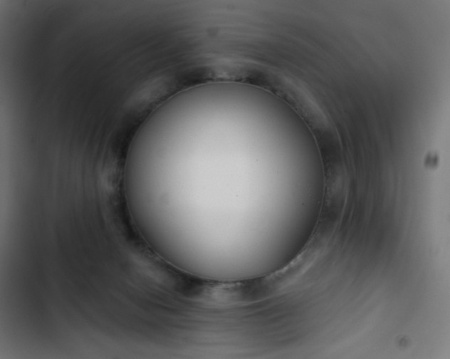 X0000103260078200809051453