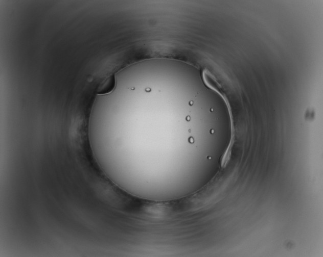 X0000103260079200809051453