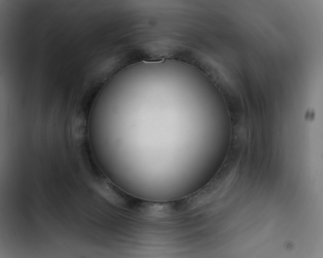 X0000103260081200809051453