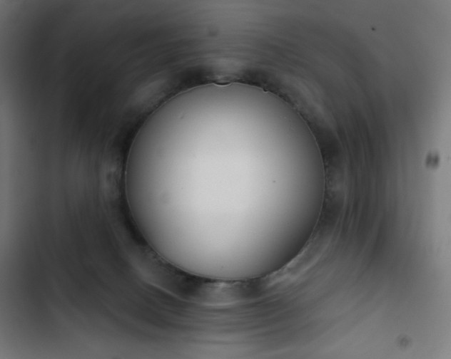 X0000103260082200809051453