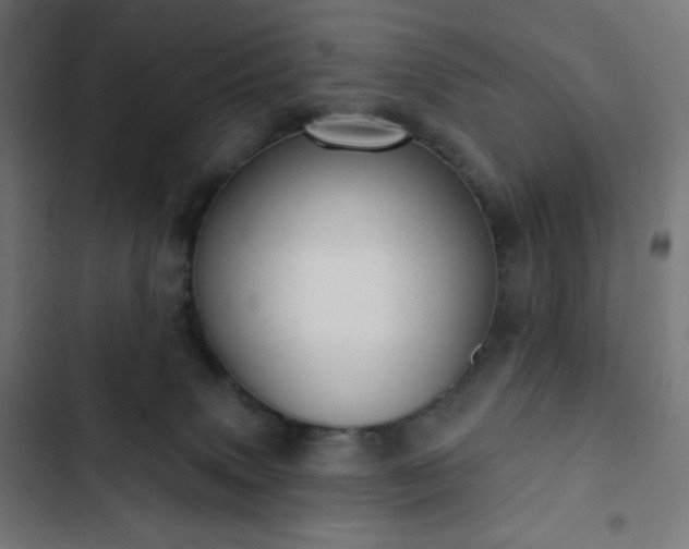 X0000103260083200809051454