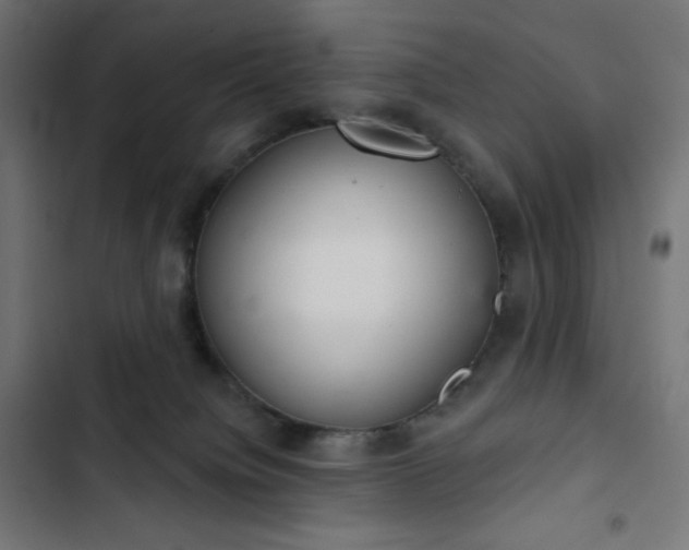 X0000103260084200809051454