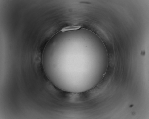 X0000103260085200809051454