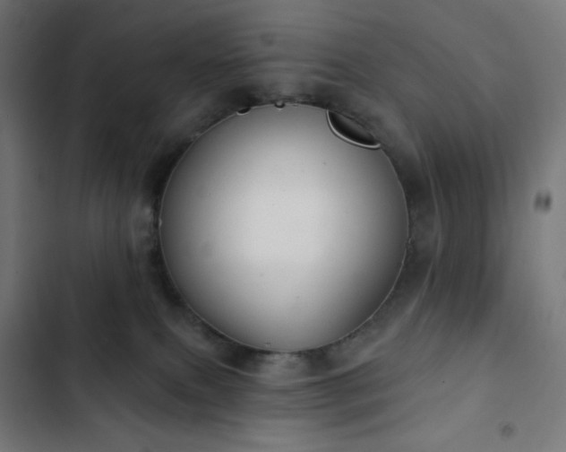 X0000103260087200809051454