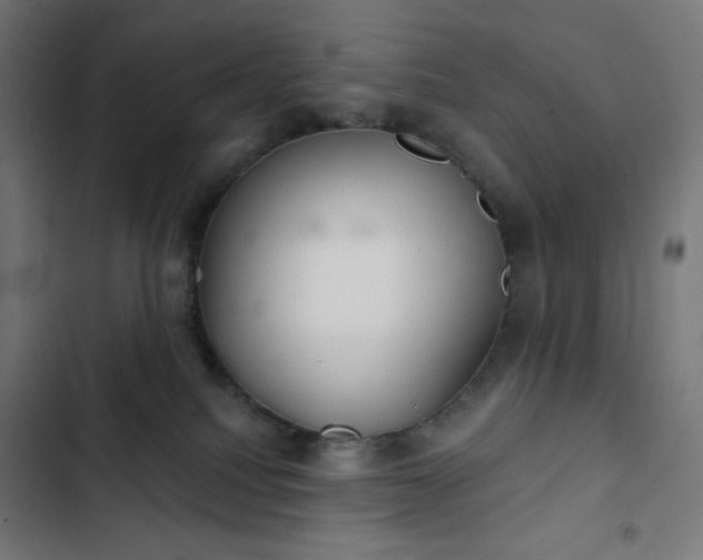 X0000103260088200809051454