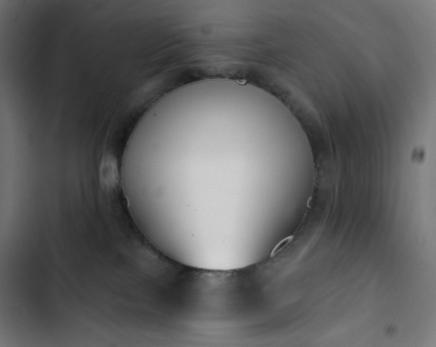 X0000103260089200809051454