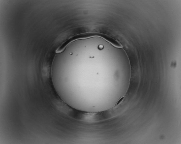 X0000103260090200809051454