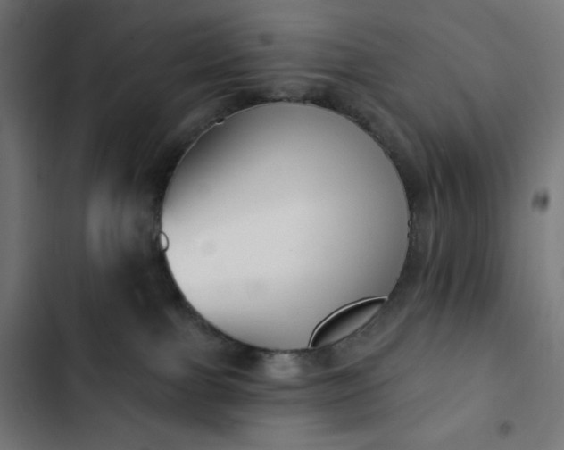 X0000103260091200809051454